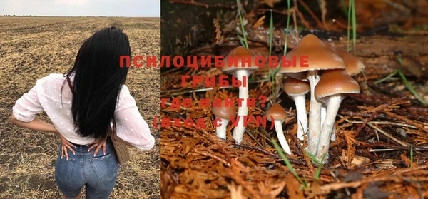 МДПВ Верхнеуральск