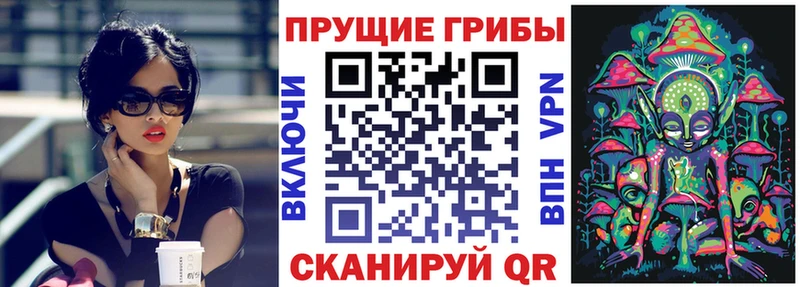 Псилоцибиновые грибы GOLDEN TEACHER  Ипатово 