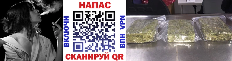 Канабис гибрид  Ипатово 